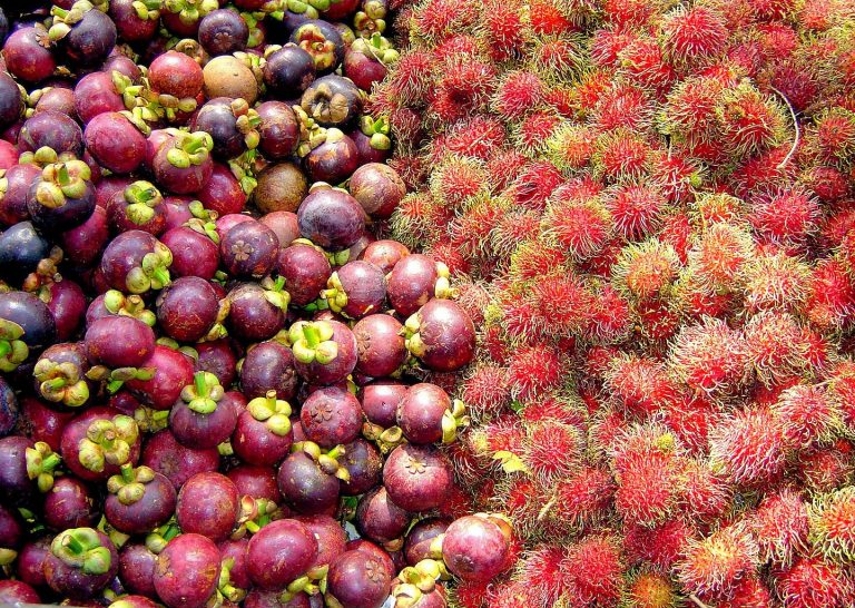 Exotic fruits – rambutan and mangosteen available in Cornwall at Mr Fruity