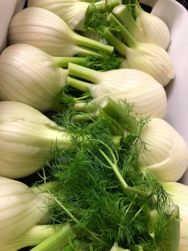 Fennel - - Fresh produce in Cornwall