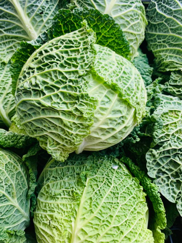 Cabbages - - Fresh produce in Cornwall