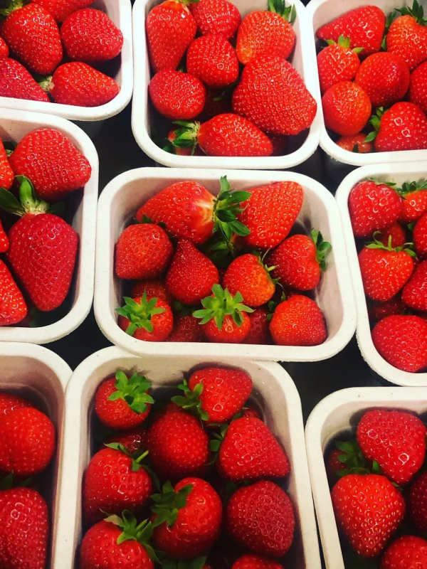 strawberries - - Fresh produce in Cornwall
